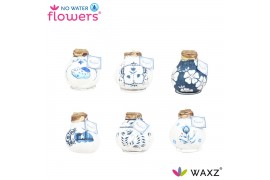 Hippeastrum gewaxt No Water Flowers Waxz® Delfts Blauw Mix2 tak/plnt