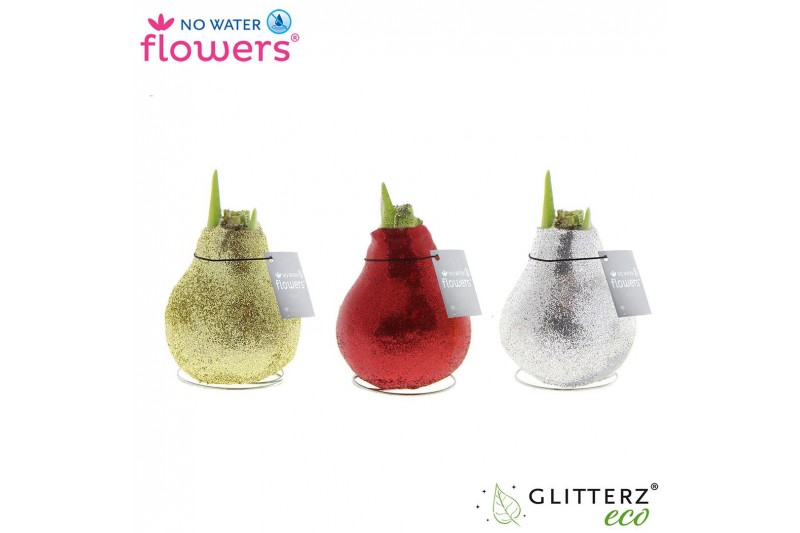 Hippeastrum gewaxt No Water Flowers Glitterz® Goud / Rood / Zilver2 ta 