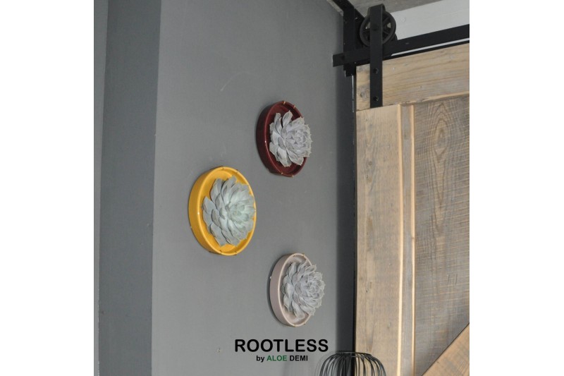 Arrangementen succulenten ROOTLESS x WALL ART Echeveria, Squirrel bowl 