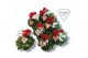 Cyclamen pers. super serie compact Cyclamen Exclusive® Duo Rood/Wit 20 