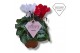Cyclamen pers. super serie compact Cyclamen Exclusive® Duo Rood/Wit 20 