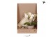 Arrangementen kamerplanten Kolibri Gift Set small Untamed Naturepp 16  
