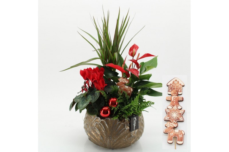 Arrangementen kerst XMASXL-2512 Kerst XL 4 pp 