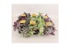 Tradescantia mix Tradescantia gemengd 12cm 10 - 14  cm 