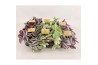 Tradescantia mix Tradescantia gemengd 12cm 10 - 14  cm