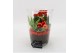 Arrangementen kamerplanten BAXM-2505R Xmas Fundamentals 2 pp 