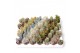 Cactus mix Cactus Mini Mix 