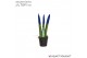 Sansevieria cylindrica Sansevieria VELVET TOUCHZ® Blauw 