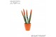 Sansevieria cylindrica Sansevieria VELVET TOUCHZ® Oranje in keramiek O 