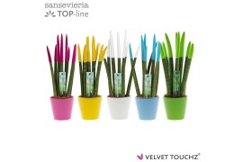 Sansevieria cylindrica Sansevieria VELVET TOUCHZ® Colourfull Easter In