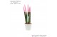 Sansevieria cylindrica Sansevieria VELVET TOUCHZ® Pastel Roze In keram 