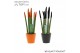 Sansevieria cylindrica Sansevieria VELVET TOUCHZ® Halloween mix In ker 