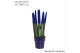 Sansevieria cylindrica Sansevieria VELVET TOUCHZ® Blauw in keramiek Ed 