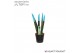 Sansevieria cylindrica Sansevieria VELVET TOUCHZ® Aqua 