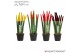 Sansevieria cylindrica Sansevieria VELVET TOUCHZ® Herfst mix 