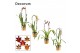 Cambria mix Cambria cascade 1 tak mix (Decorum)1 tak/plnt 