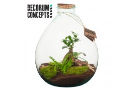 Arrangementen kamerplanten Terrarium Galaxy medium (Decorum concepts) 
