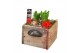 Arrangementen hyacinthus Hyacint Wooden Drawer HL10756WP [COZY] 3 pp 7 