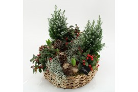 Arrangementen tuinplanten ODXM-2536 Xmas Outdoor 9 pp