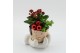 Arrangementen kerst XMAS-25266 Kerst creatie 2 pp 