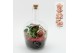 Arrangementen kerst XMAS-25210 Kerst creatie terrarium 2 pp 