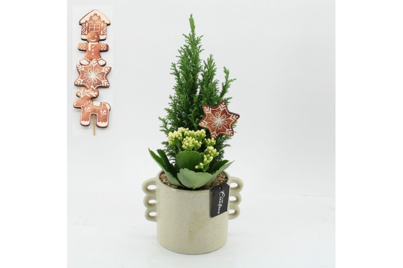 Arrangementen kerst XMAS-25289 Kerst creatie 2 pp 