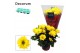 Chrysanthemum breeze sol Chrysanne® Margarita Yellow3 pp 