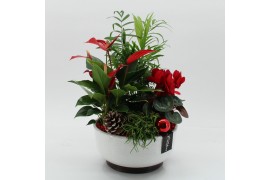 Arrangementen kerst XMASXL-2505 Kerst XL 4 pp