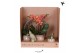 Arrangementen kamerplanten Kolibri Gift Set Untamed Naturepp 3 tak/pln 