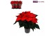 Euphorbia pul. premium red Poinsettia 13cm Premium red 5+5 bl. 