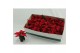Euphorbia red joy Poinsettia Red Joy 6cm Zonder Hoes1 bl. 