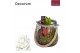 Arrangementen hyacinthus Hyacint Glas met Touw HL13806WP [COZY] 1 pp 3 