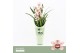 Cymbidium Cymbidium, Pretty Pink 1-spike Orchid Collection Potcover 1  