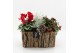 Arrangementen tuinplanten ODXM-2525 Xmas Outdoor 3 pp 