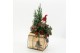 Arrangementen tuinplanten ODXM-2528 Xmas Outdoor 2 pp 