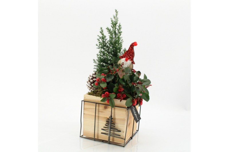 Arrangementen tuinplanten ODXM-2528 Xmas Outdoor 2 pp 