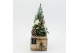 Arrangementen tuinplanten ODXM-2540 Xmas Outdoor 2 pp 