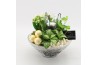 Arrangementen kamerplanten BAXM-2504W Xmas Fundamentals 3 pp