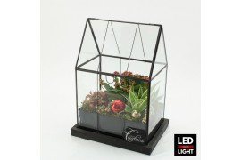 Arrangementen kerst XMAS-25220LED Kerst creatie terrarium 3 pp