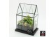 Arrangementen kerst XMAS-25222LED Kerst creatie terrarium 3 pp 