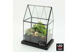 Arrangementen kerst XMAS-25222LED Kerst creatie terrarium 3 pp