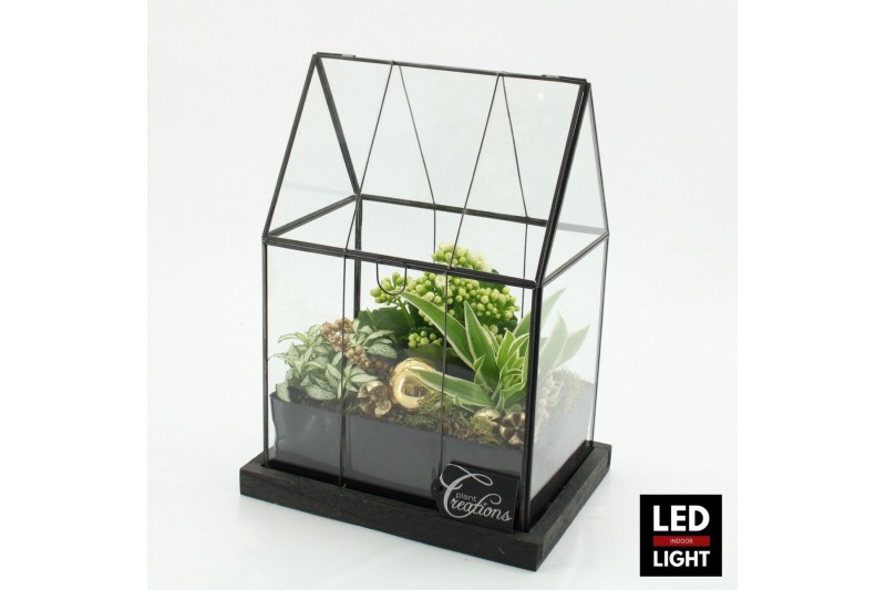 Arrangementen kerst XMAS-25222LED Kerst creatie terrarium 3 pp 