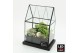 Arrangementen kerst XMAS-25221LED Kerst creatie terrarium 3 pp 