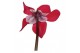 Cyclamen pers. super serie djix Cyclamen Exclusive® - Djix Mix Rood/Wi 