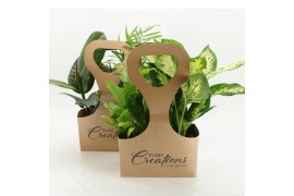 Kamerplanten mix Tas 2 Ecotas met 2 planten