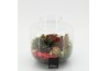 Arrangementen kerst XMAS-25214 Kerst creatie terrarium 3 pp