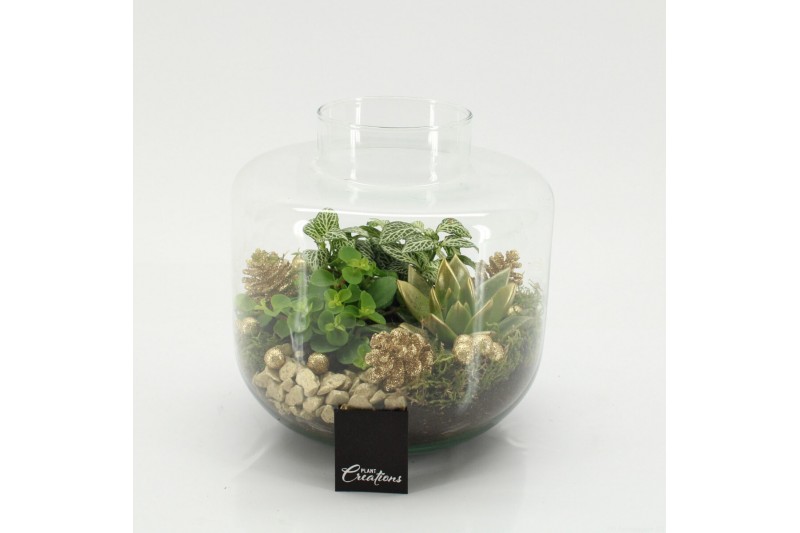 Arrangementen kerst XMAS-25215 Kerst creatie terrarium 3 pp 