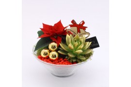 Arrangementen euphorbia pulcherrima POCR-2503 Poinsettia creatie 2 pp