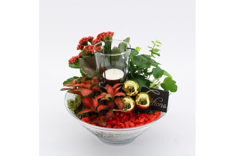 Arrangementen kerst ADV-2511RG Advent creatie 3 pp 