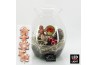 Arrangementen hippeastrum HICR-2509RLED Kerst Amaryllis terrarium 1 pp